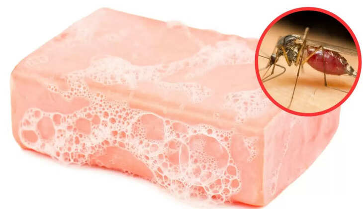 soap-attracts-mosquitos