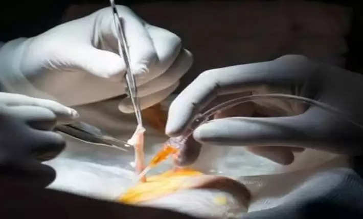 scissors left inside stomach during surgery 
