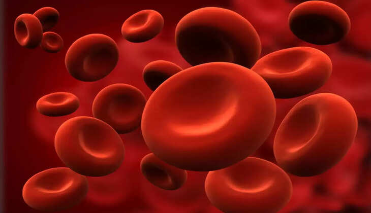 വിളർച്ചയുണ്ടോ? അറിയാം ഈ ലക്ഷണങ്ങള്‍