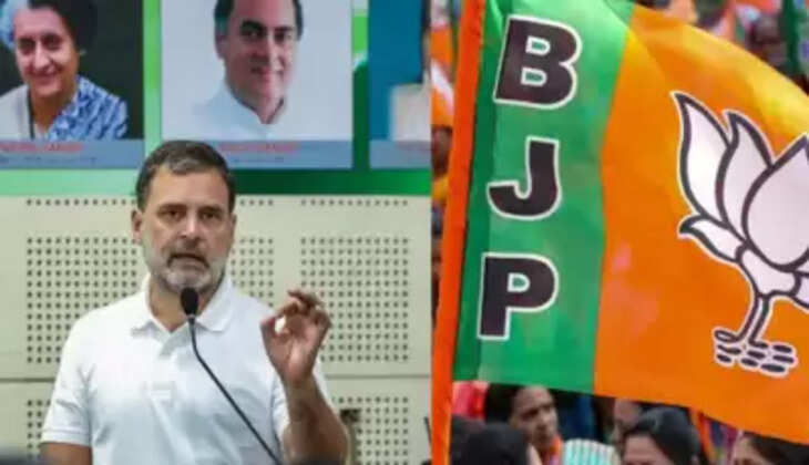 rahul - bjp