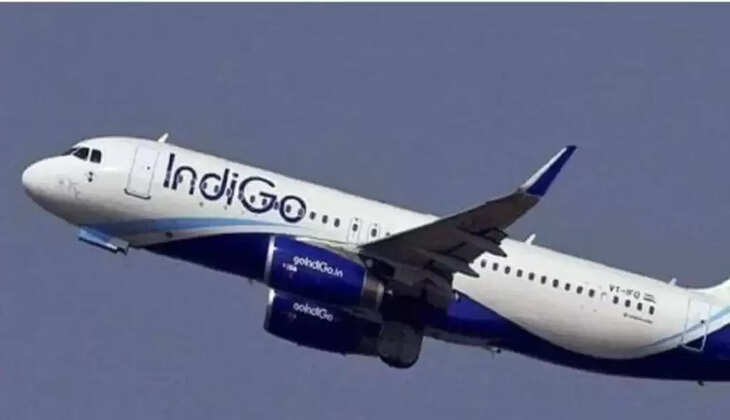 Indigo