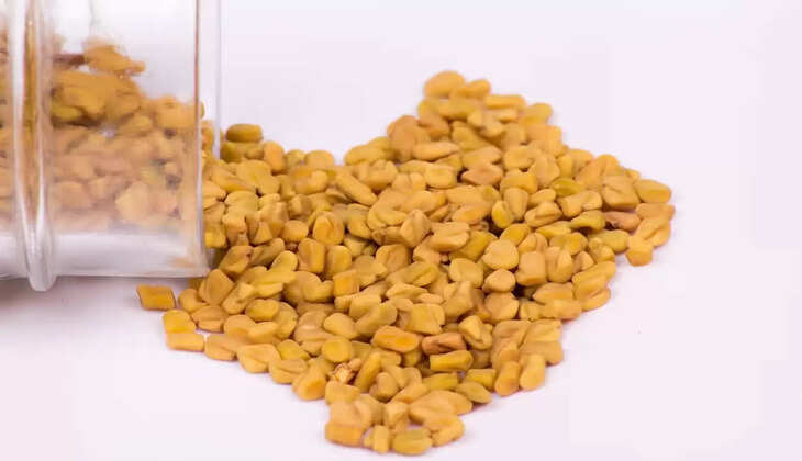 FENUGREEK SEEDS
