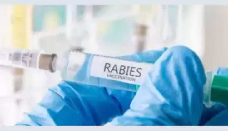 rabies 