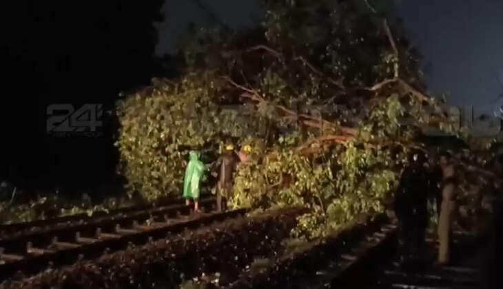tree falls on railway track