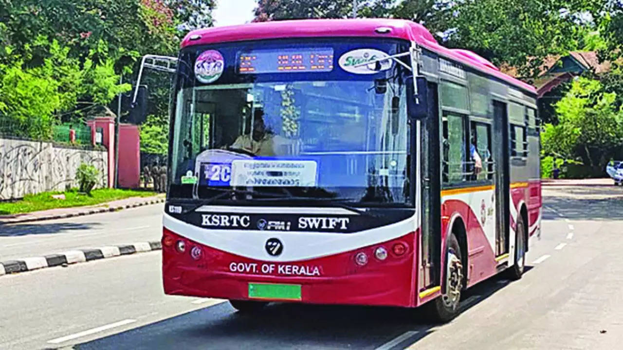 city circular bus service