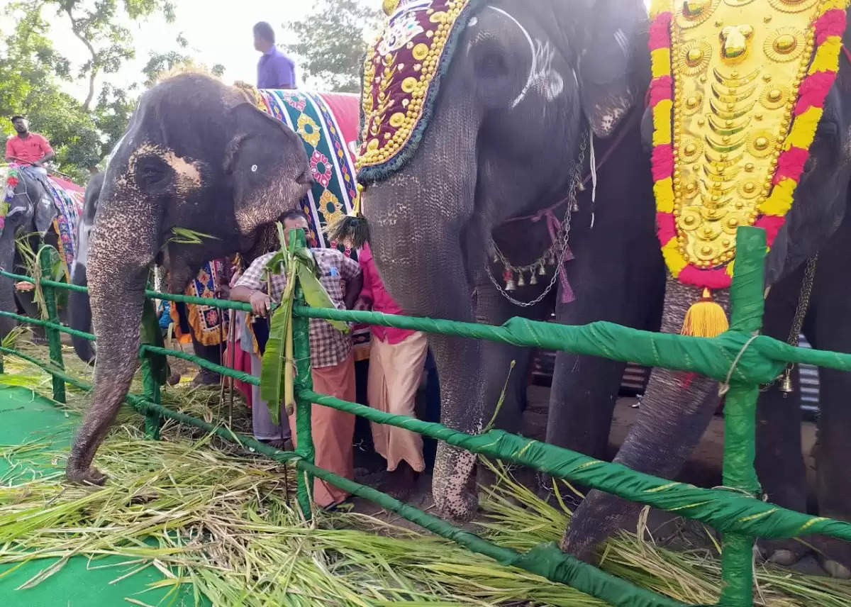 No more acquisition of elephants by individuals temples Madras High court