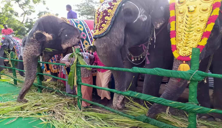 No more acquisition of elephants by individuals temples Madras High court