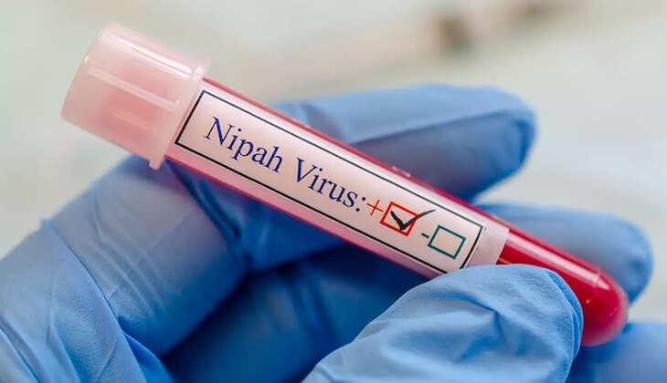 Nipa