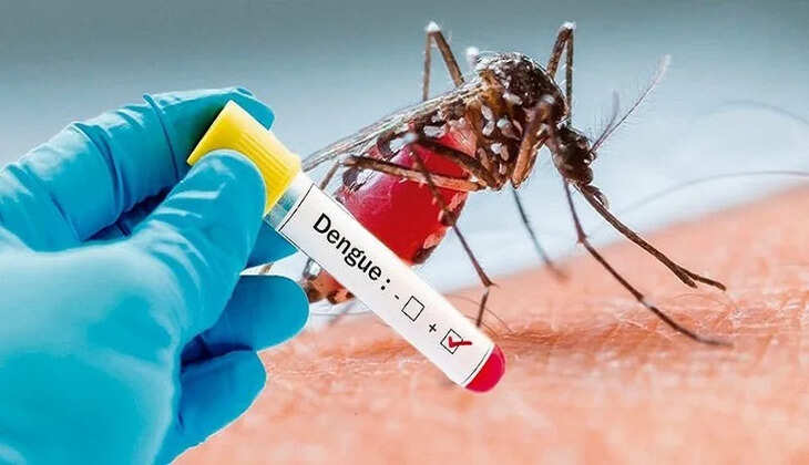 dengue-fever-