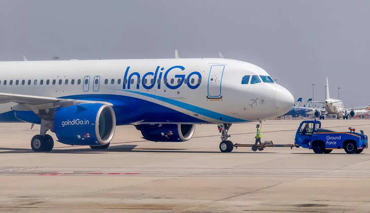 indigo 