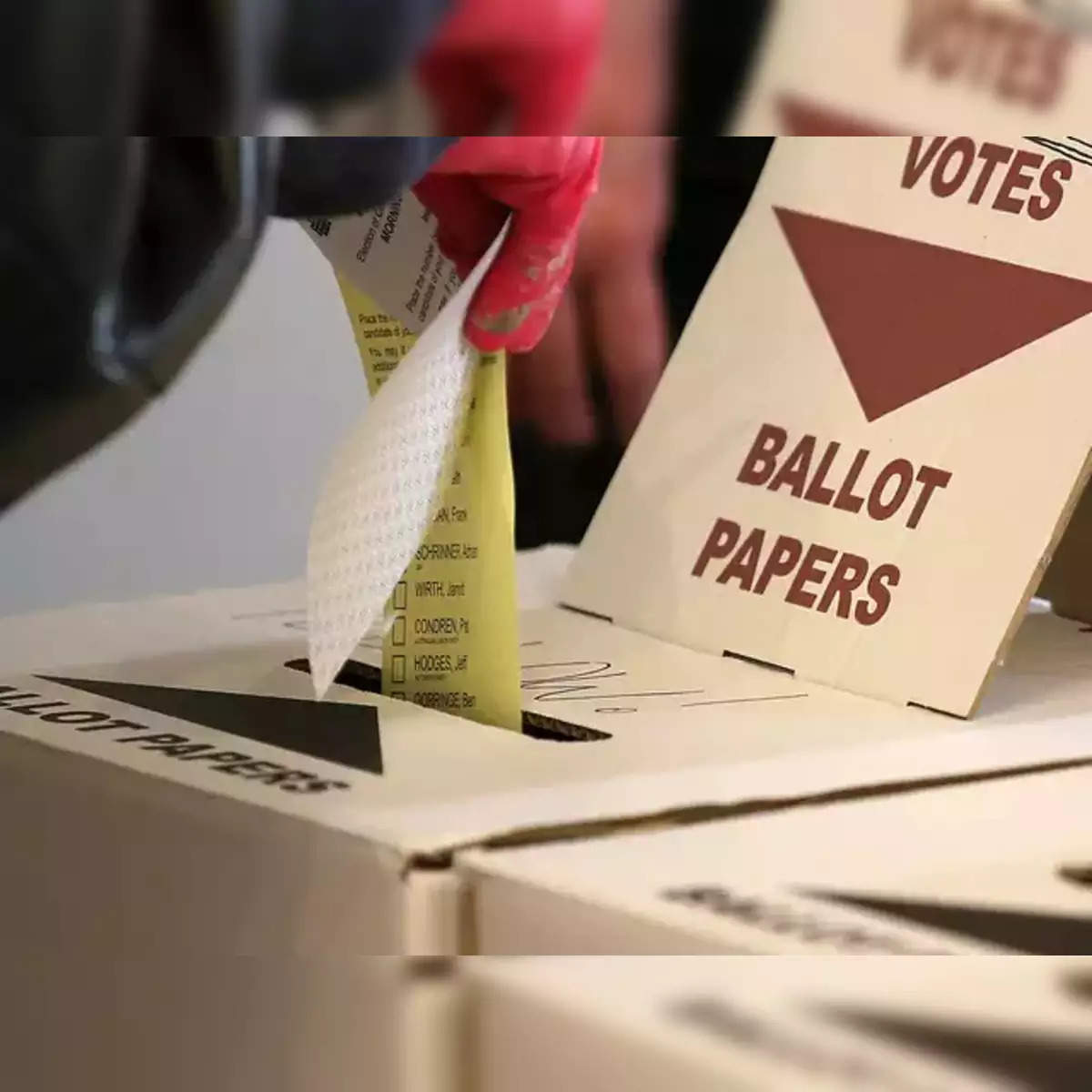 ballot paper vote